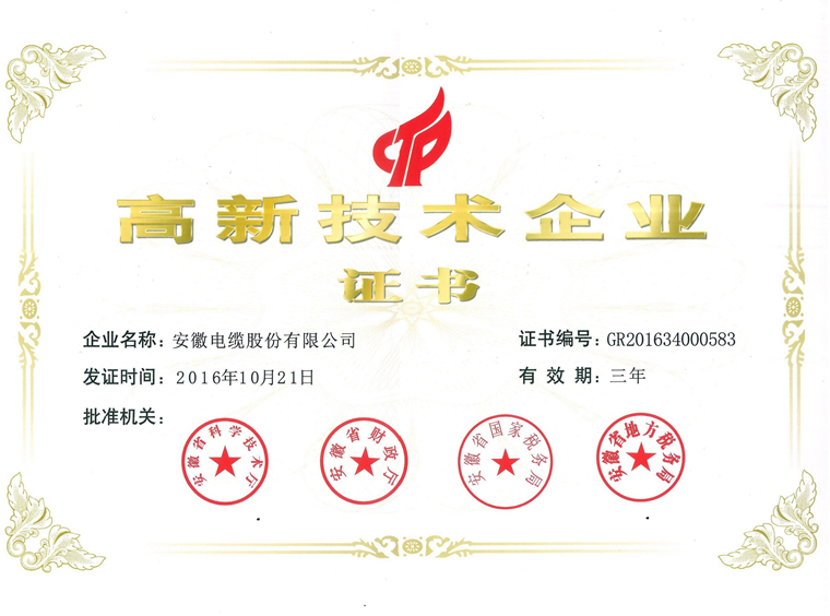 高新技術企業證書